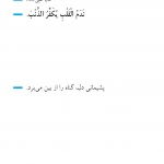 از بین برنده گناه