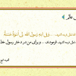 الگوی منجی عالم